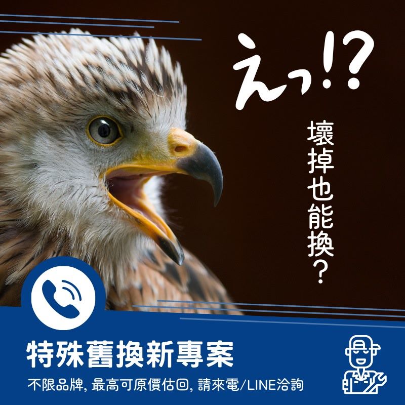 全系列